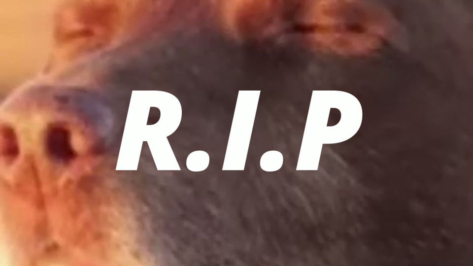 GIBSONTALES STREAM 1